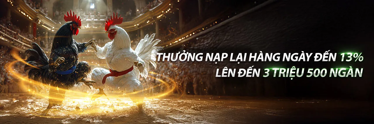 Hình ảnh chính về Cờ bạc có trách nhiệm tại 2233win casino